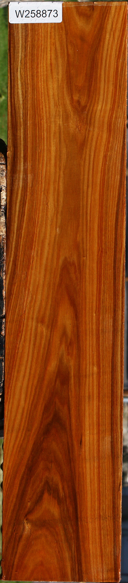 Canary Lumber