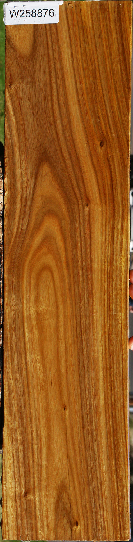 Canary Lumber