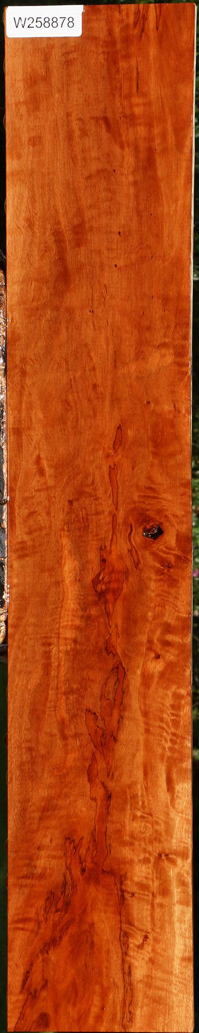 Figured Burmese Padauk Lumber