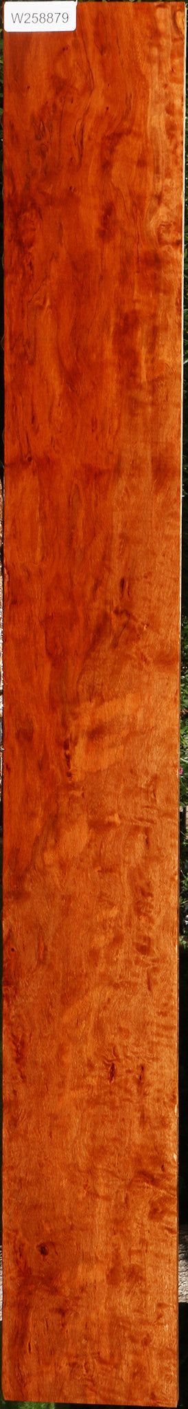 Extra Fancy Burmese Padauk Lumber