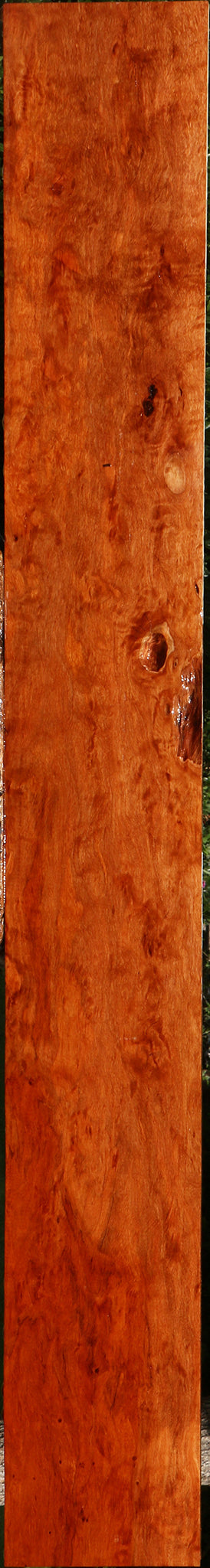Extra Fancy Burmese Padauk Lumber