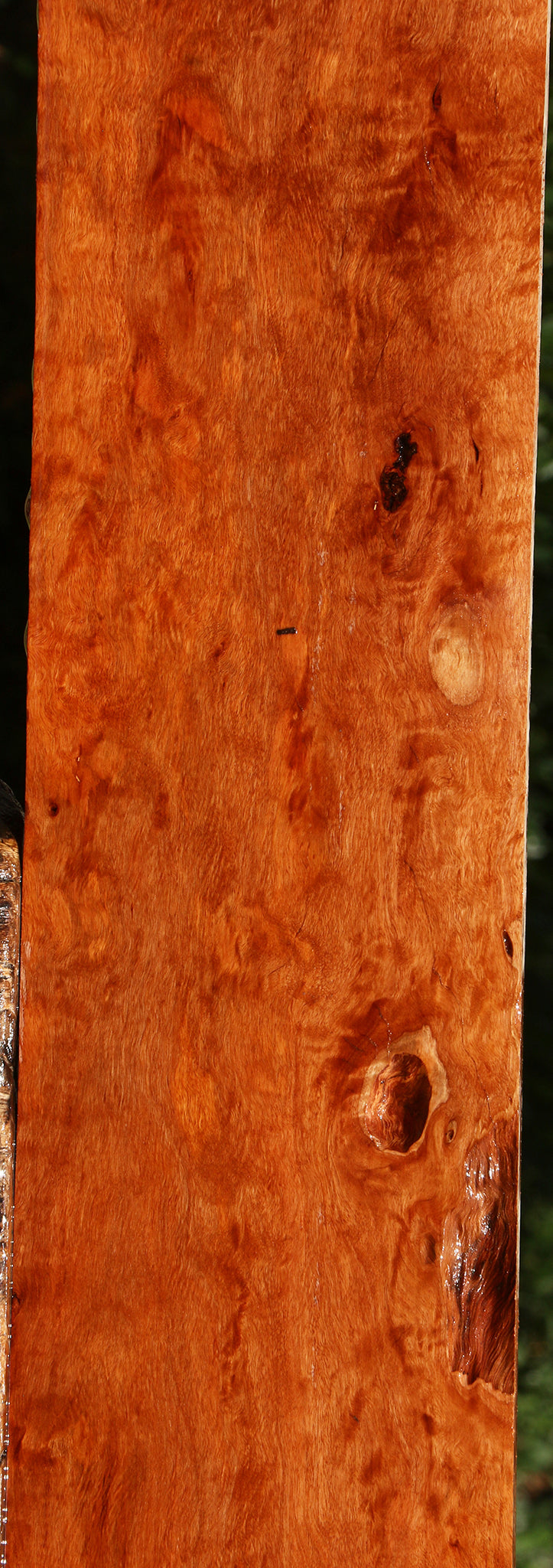 Extra Fancy Burmese Padauk Lumber