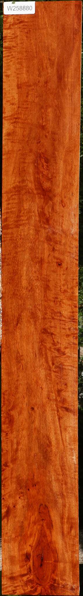 Extra Fancy Burmese Padauk Lumber