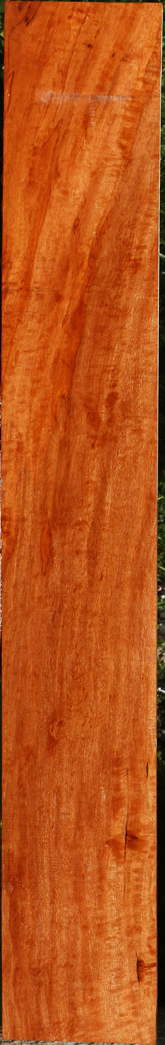 Extra Fancy Burmese Padauk Lumber