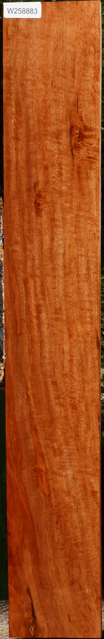 Extra Fancy Burmese Padauk Lumber