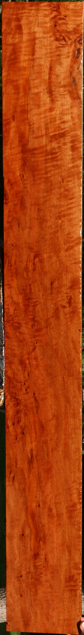 Extra Fancy Burmese Padauk Lumber