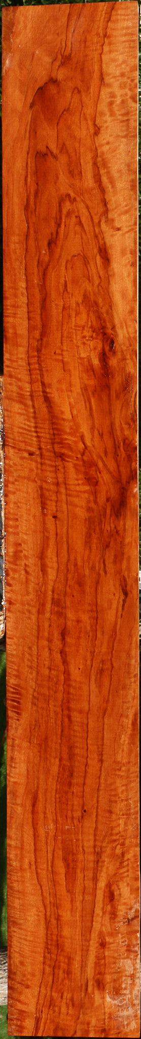 Extra Fancy Burmese Padauk Lumber