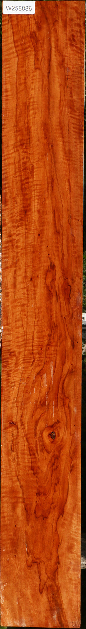 Extra Fancy Burmese Padauk Lumber