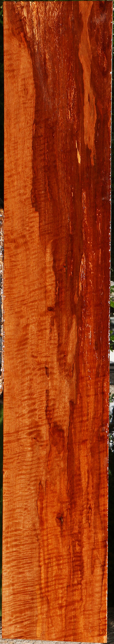Extra Fancy Burmese Padauk Lumber