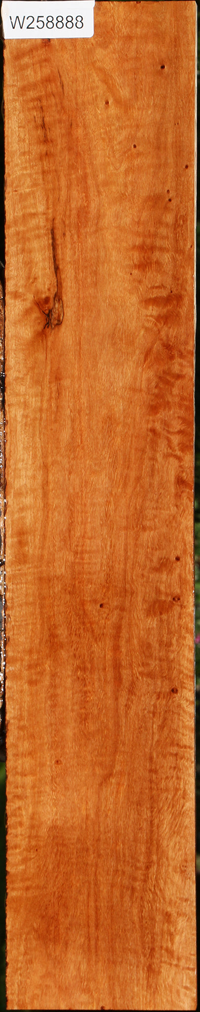 Extra Fancy Burmese Padauk Lumber