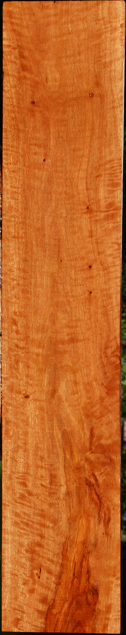 Extra Fancy Burmese Padauk Lumber