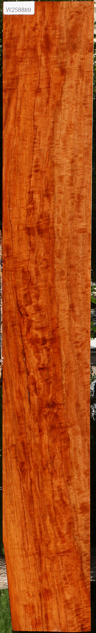 Extra Fancy Burmese Padauk Lumber