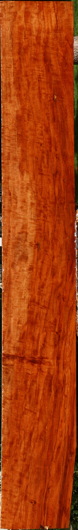 Extra Fancy Burmese Padauk Lumber