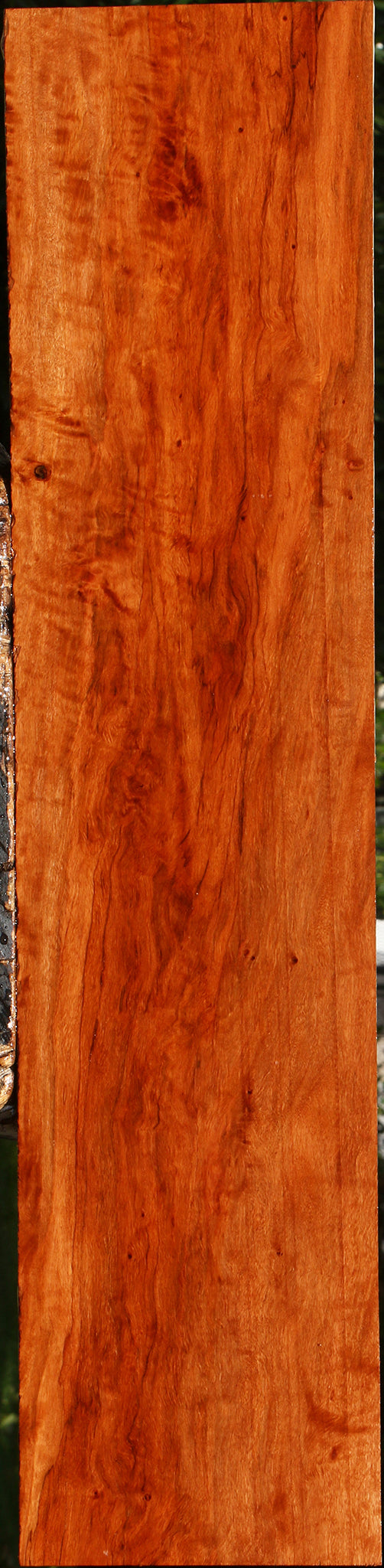 Figured Burmese Padauk Lumber