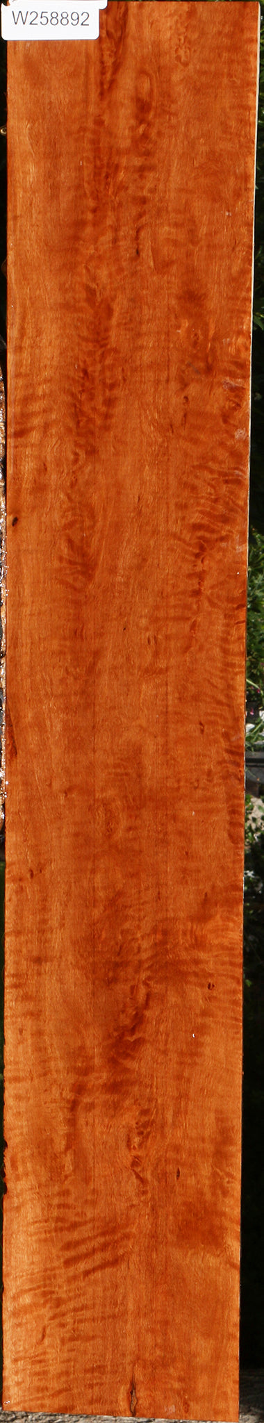 Extra Fancy Burmese Padauk Lumber