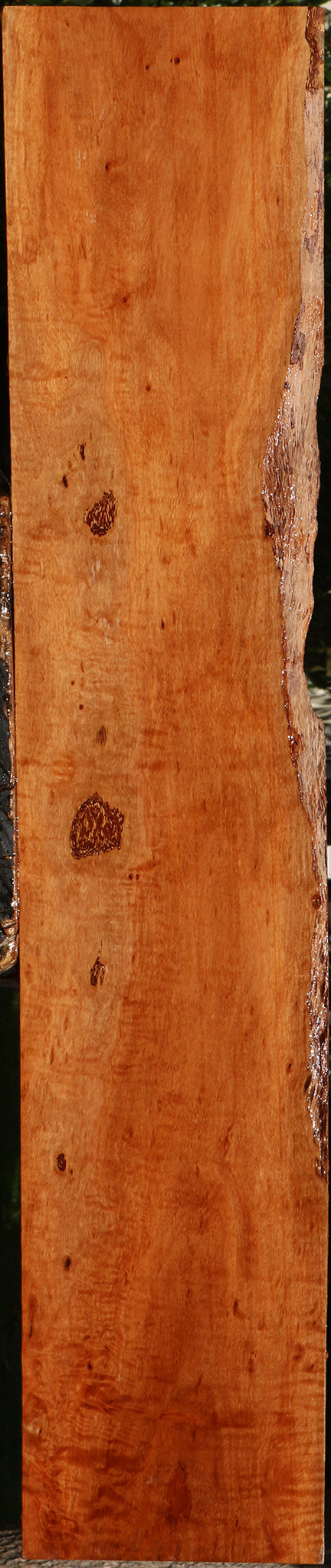 Figured Burmese Padauk Lumber