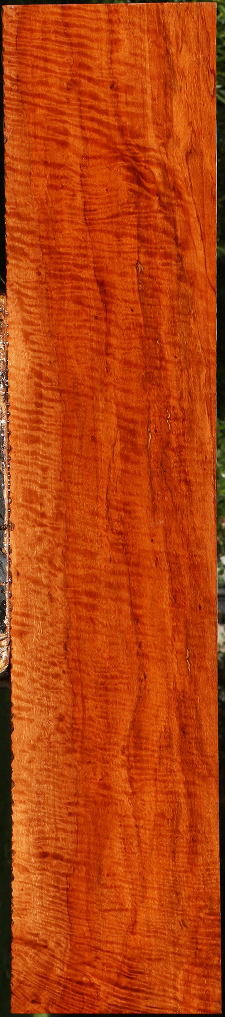 Exhibition Burmese Padauk Lumber