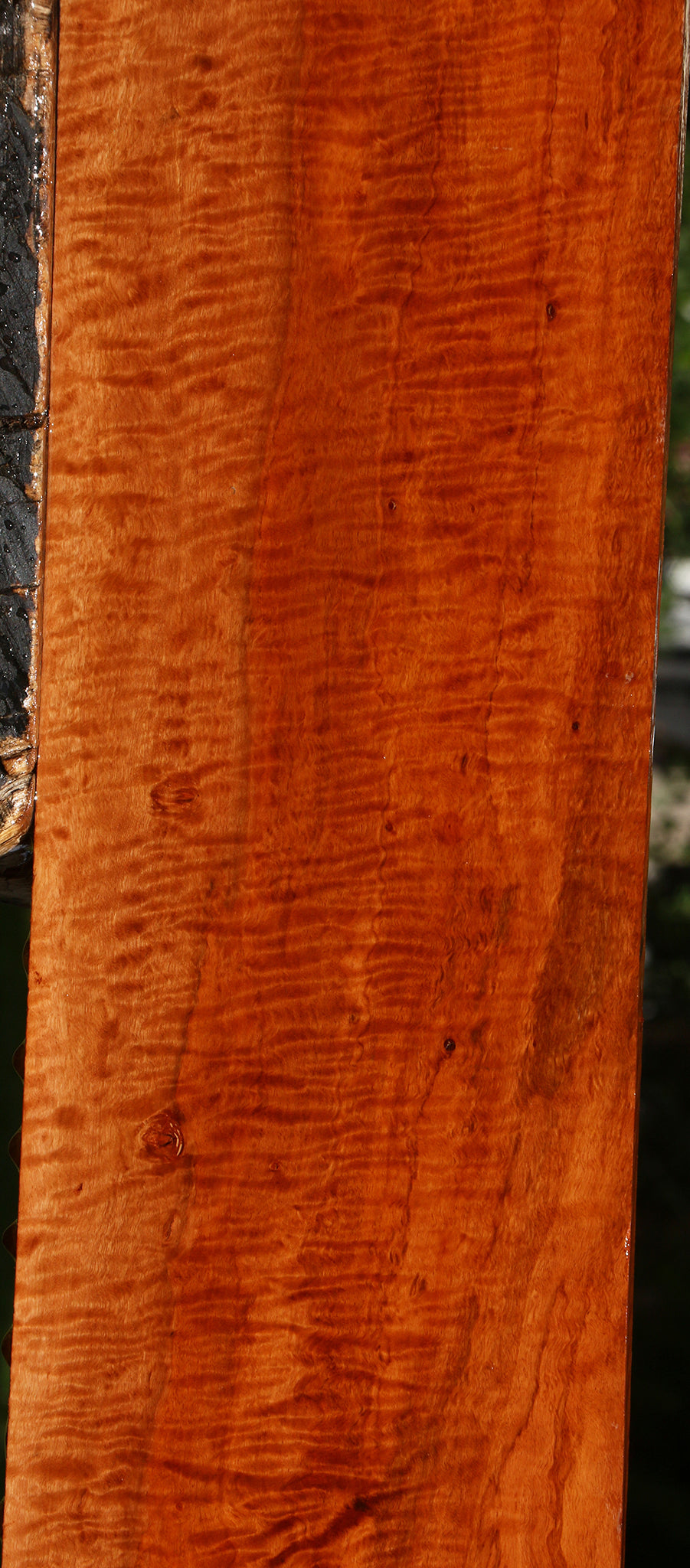 Exhibition Burmese Padauk Lumber
