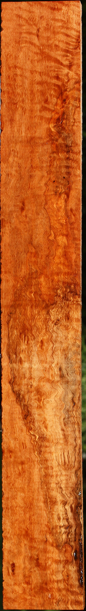 Extra Fancy Burmese Padauk Lumber