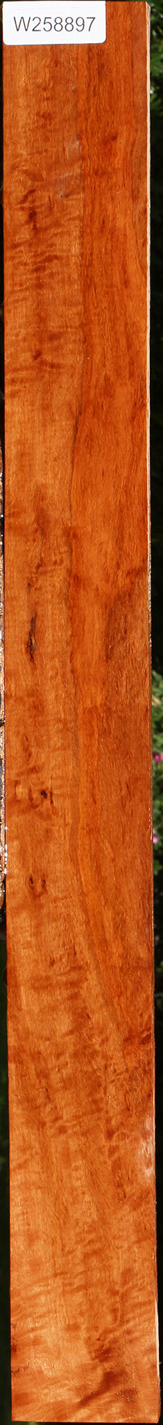 Extra Fancy Burmese Padauk Lumber