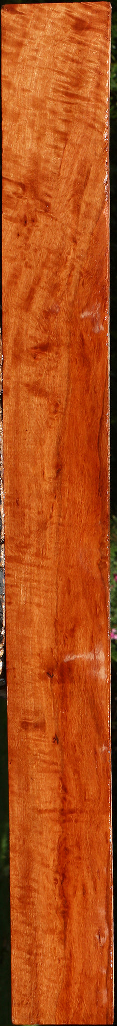 Extra Fancy Burmese Padauk Lumber