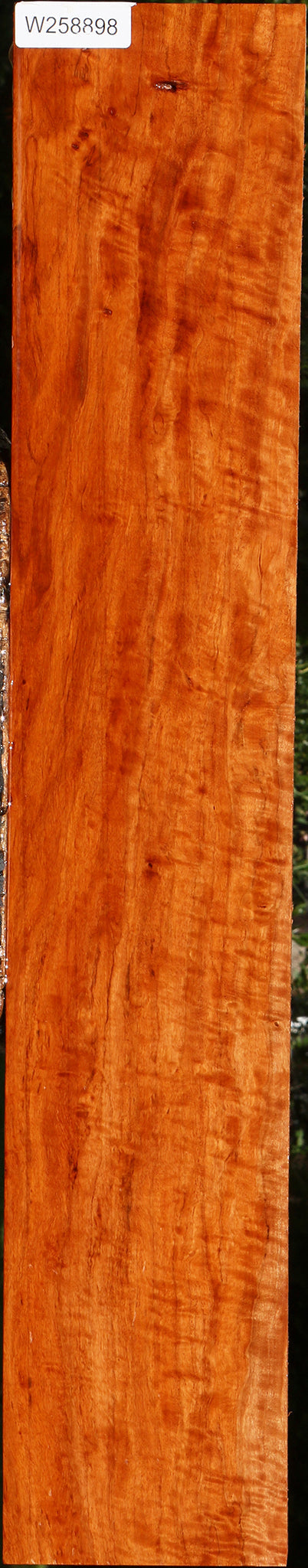 Extra Fancy Burmese Padauk Lumber