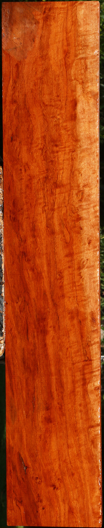 Extra Fancy Burmese Padauk Lumber
