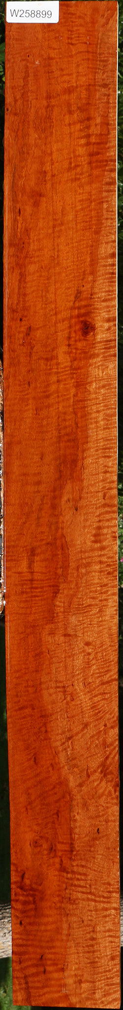 Extra Fancy Burmese Padauk Lumber