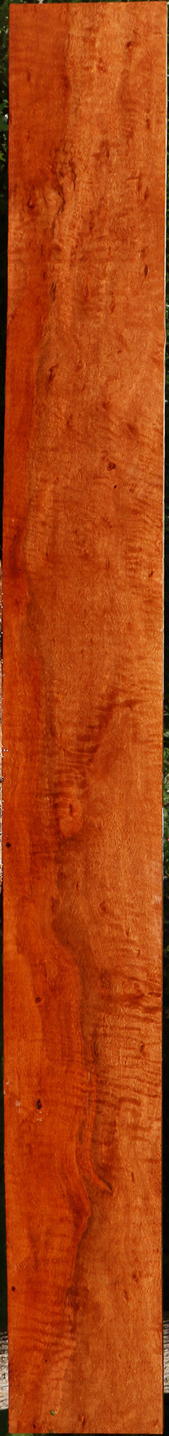 Extra Fancy Burmese Padauk Lumber