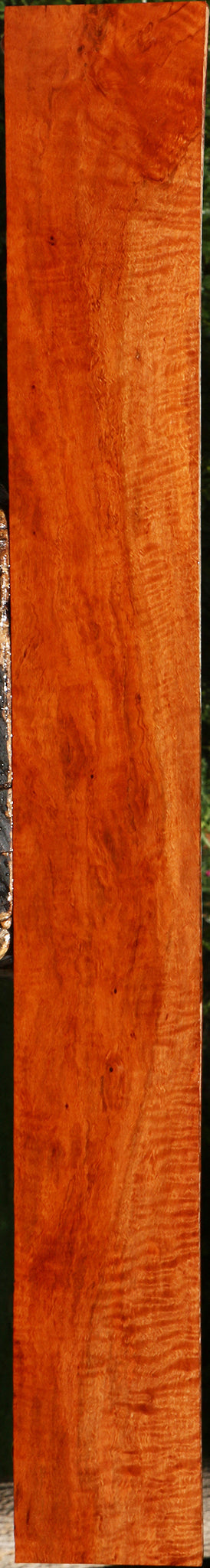 Extra Fancy Burmese Padauk Lumber