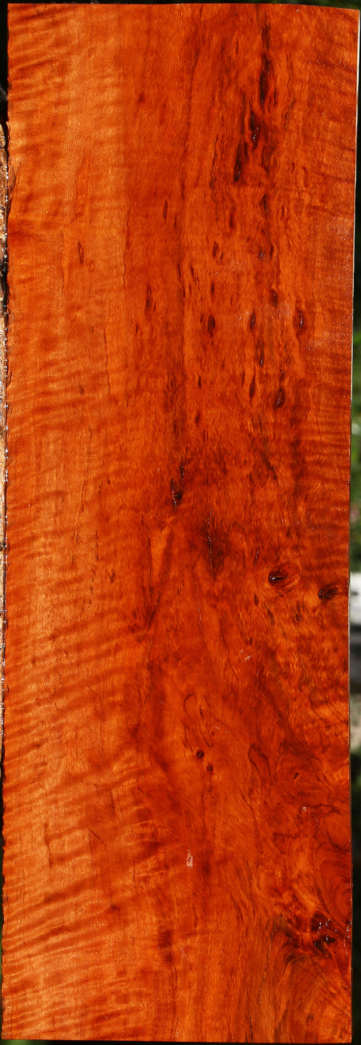 Extra Fancy Burmese Padauk Lumber