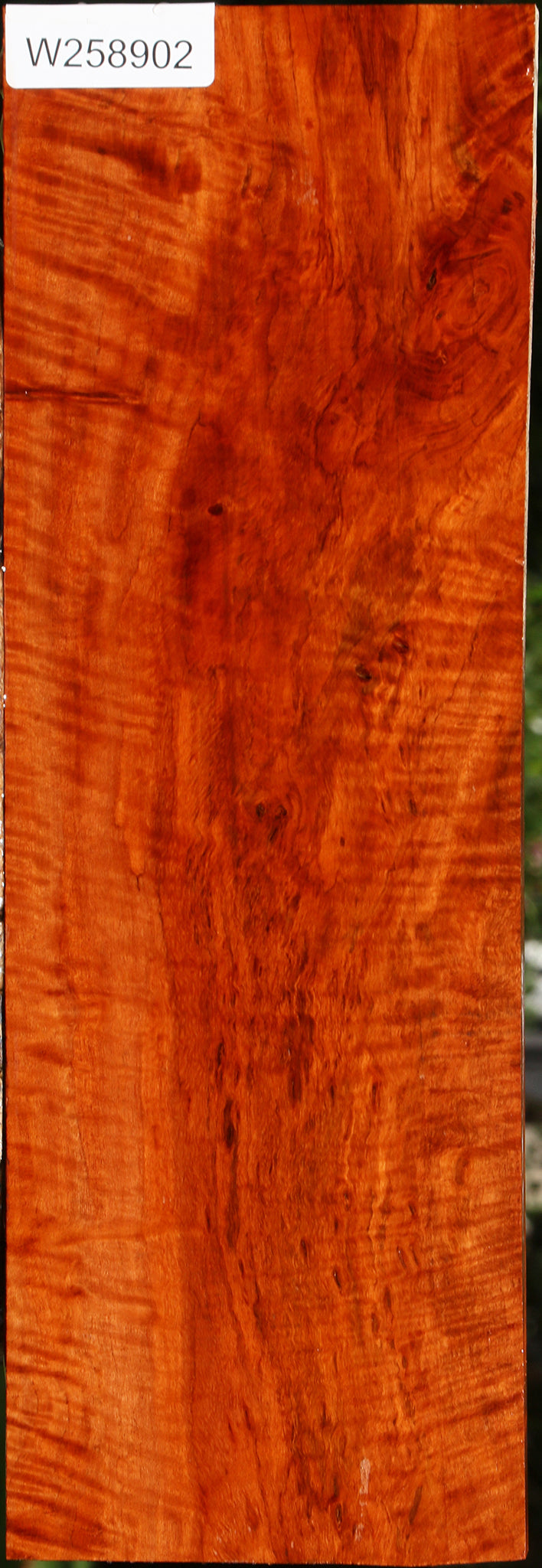 Extra Fancy Burmese Padauk Lumber