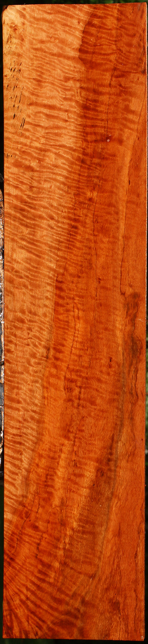 Extra Fancy Burmese Padauk Lumber