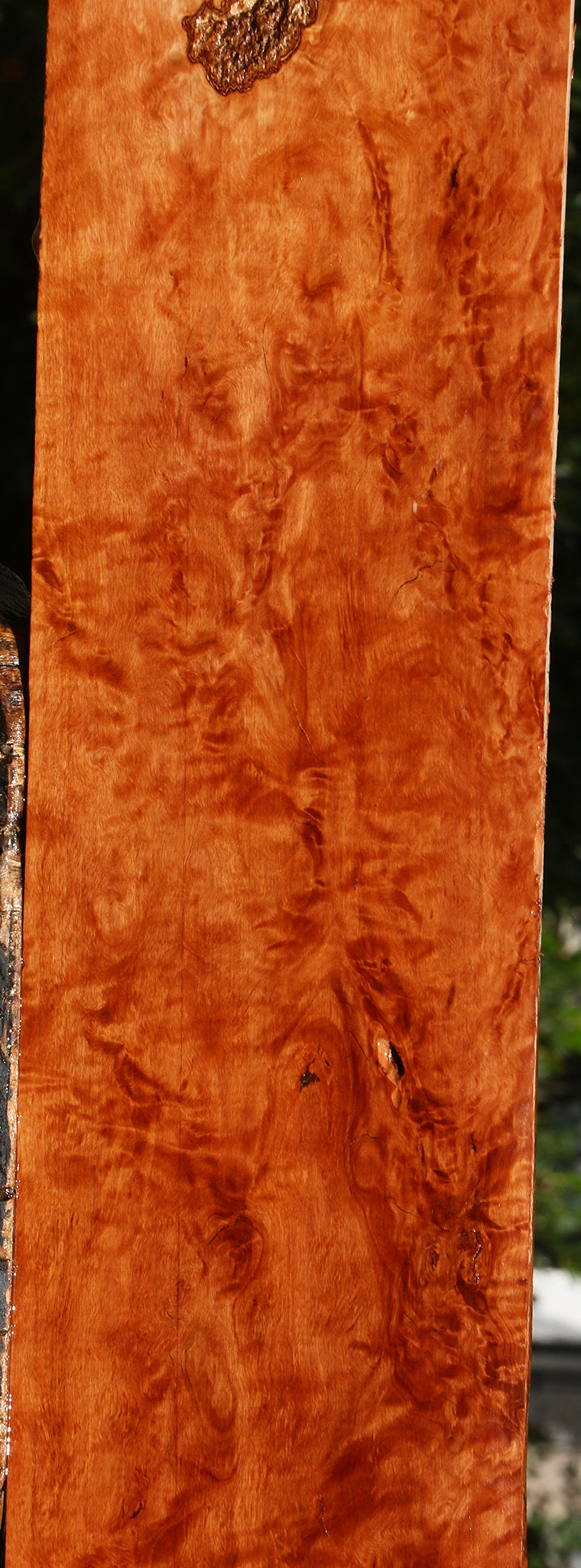 Extra Fancy Burmese Padauk Lumber