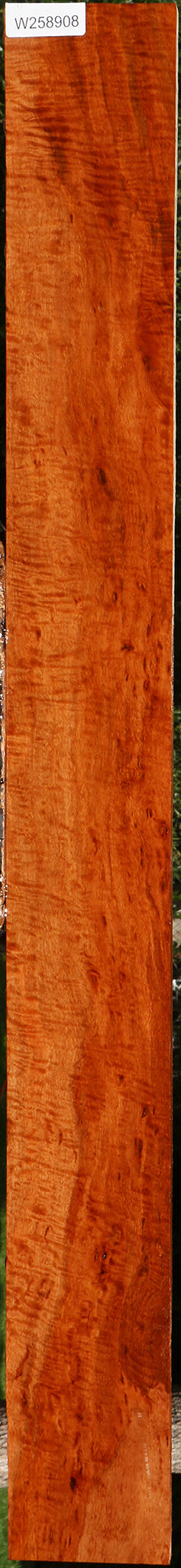 Extra Fancy Burmese Padauk Lumber