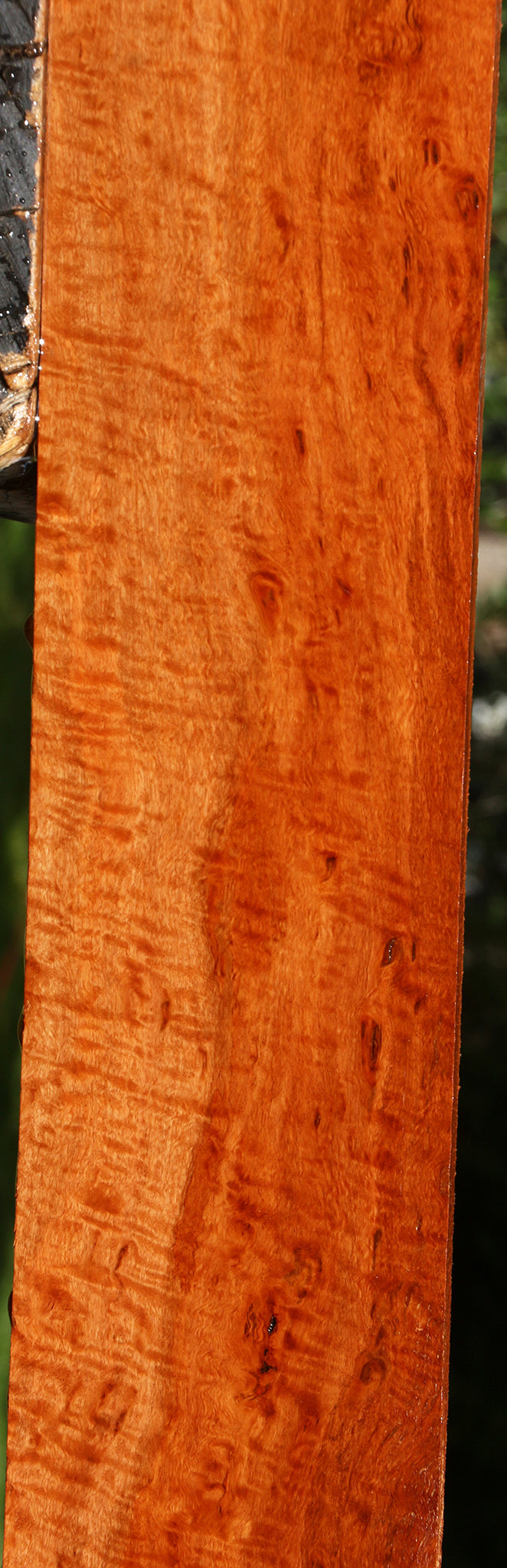 Extra Fancy Burmese Padauk Lumber