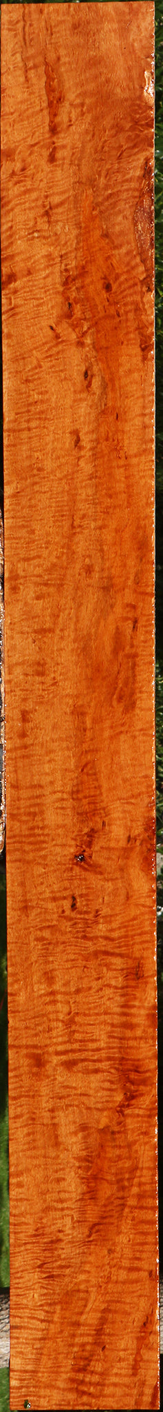 Extra Fancy Burmese Padauk Lumber
