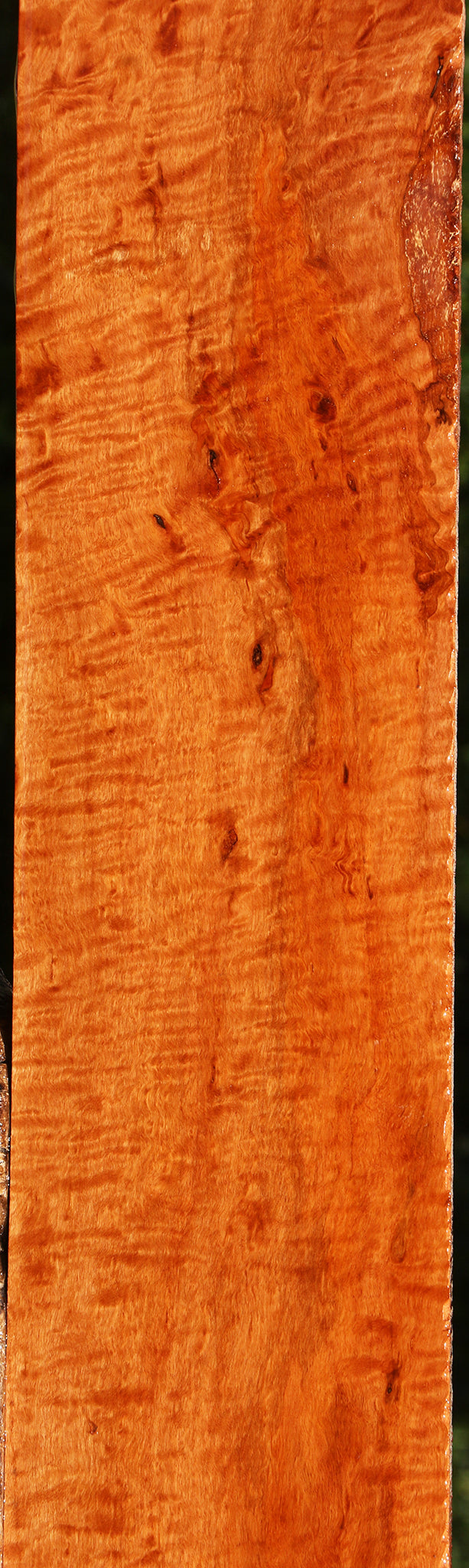 Extra Fancy Burmese Padauk Lumber