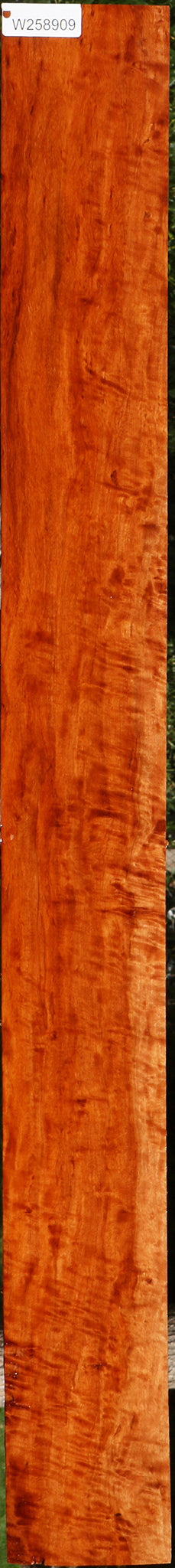 Extra Fancy Burmese Padauk Lumber