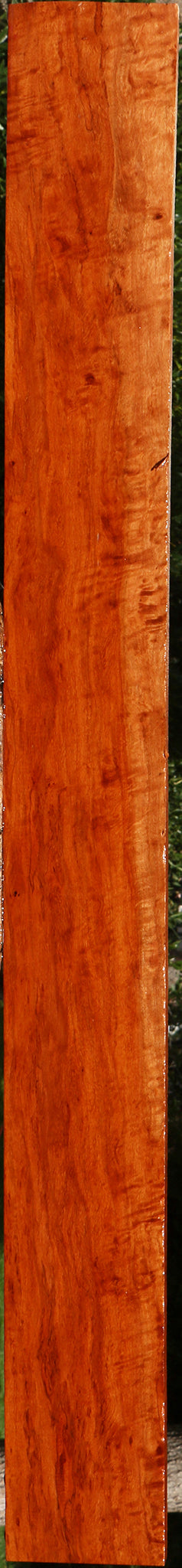 Extra Fancy Burmese Padauk Lumber
