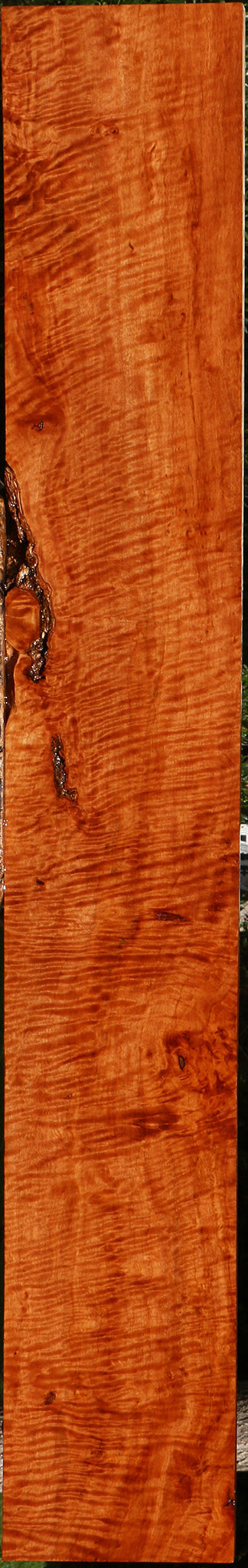 Extra Fancy Burmese Padauk Lumber