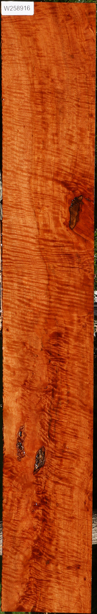 Extra Fancy Burmese Padauk Lumber
