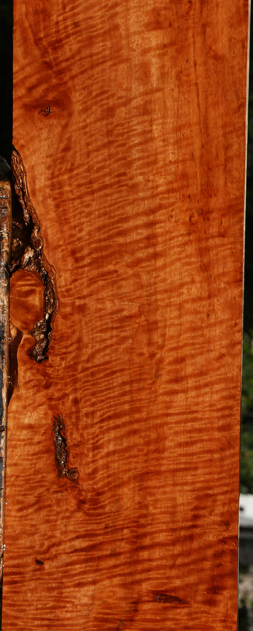 Extra Fancy Burmese Padauk Lumber