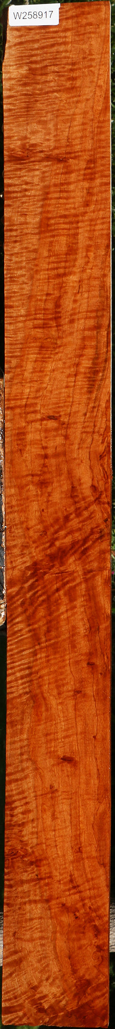 Extra Fancy Burmese Padauk Lumber