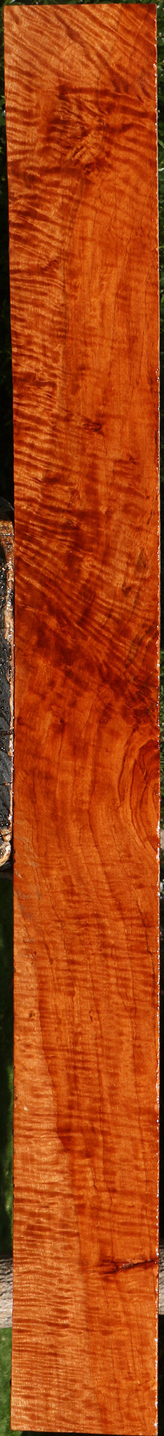 Extra Fancy Burmese Padauk Lumber