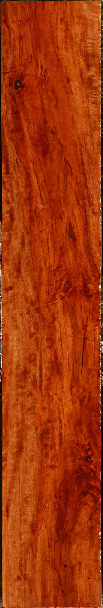 Extra Fancy Burmese Padauk Lumber