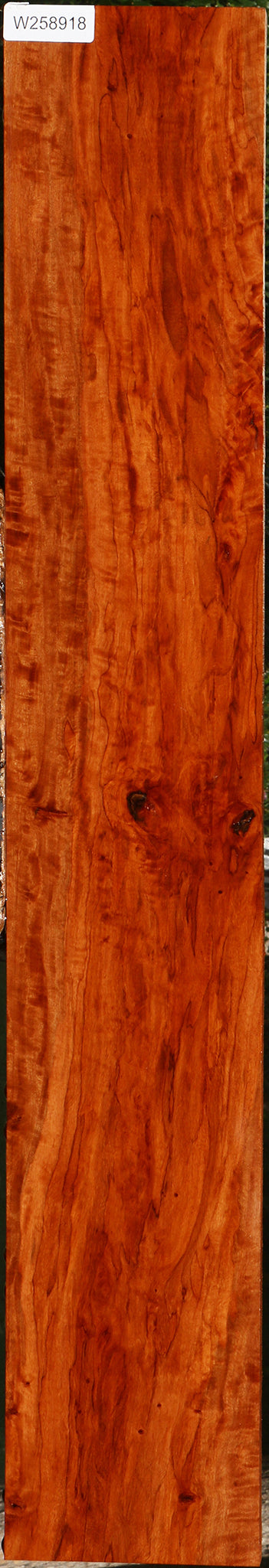 Extra Fancy Burmese Padauk Lumber