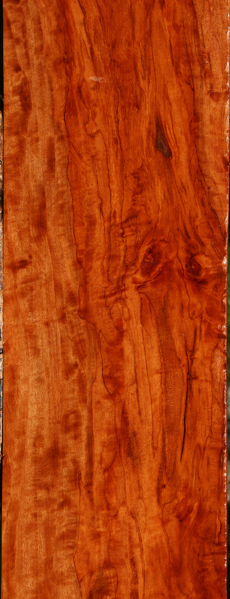 Extra Fancy Burmese Padauk Lumber