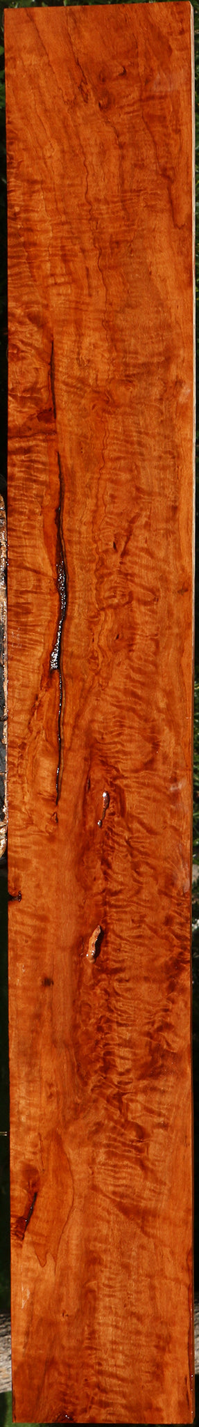 Extra Fancy Rustic Burmese Padauk Lumber