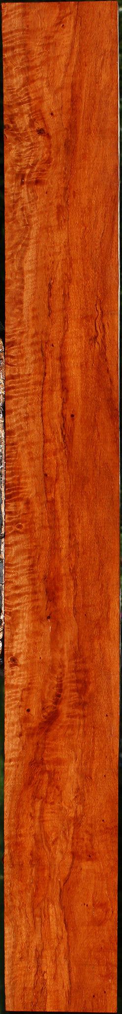 Extra Fancy Burmese Padauk Lumber